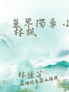 万界独尊 小说 林枫