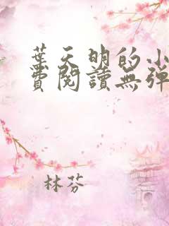 叶天明的小说免费阅读无弹窗