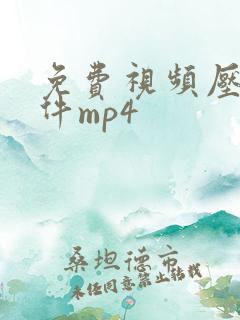 免费视频压缩软件mp4