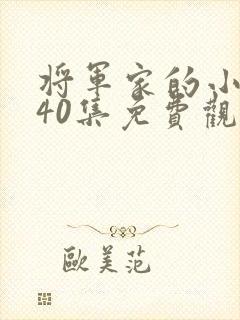 将军家的小娘子40集免费观看