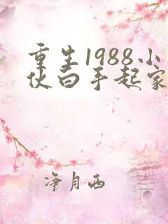 重生1988小伙白手起家成首富免费阅读