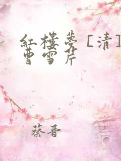 红楼梦 [清]曹雪芹