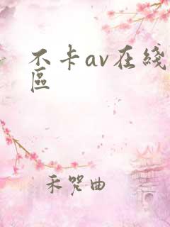 不卡av在线二区