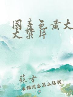 国产色黄大片十大禁片