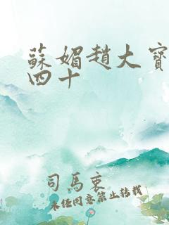 苏媚赵大宝今年四十