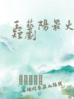 王艺阳最火十部短剧