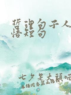 哲理句子人生感悟短句