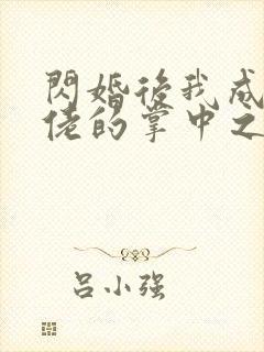 闪婚后我成了大佬的掌中之物22