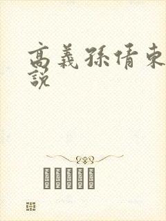 高义孙倩东子小说