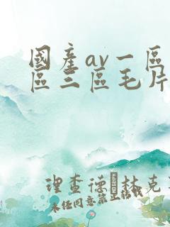 国产av一区二区三区毛片