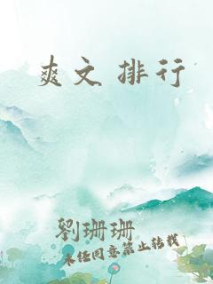 爽文 排行