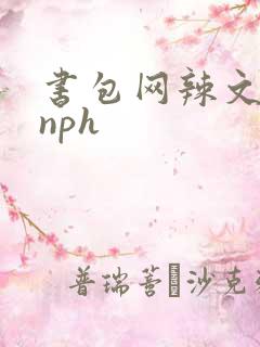 书包网辣文古代nph