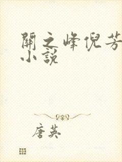 关之峰倪芳芳的小说