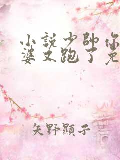 小说少帅你的老婆又跑了免费阅读