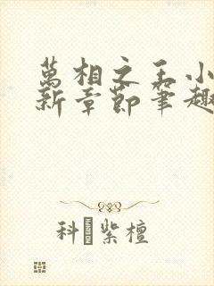 万相之王小说最新章节笔趣阁免费阅读