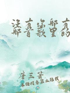 没有你哪有我是哪首歌里的歌词