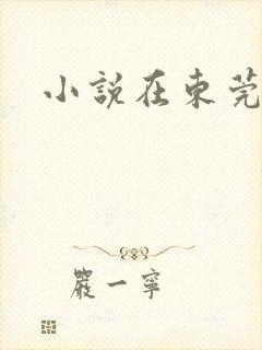 小说在东莞