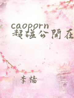 caoporn超碰公开在线