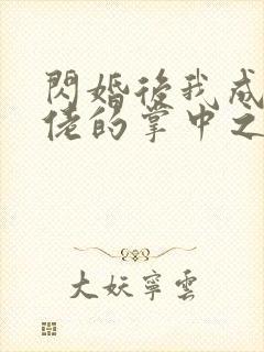闪婚后我成了大佬的掌中之物17