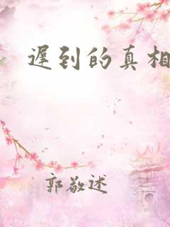 迟到的真相小说