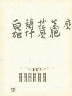 白兰花怎么施肥施什么肥