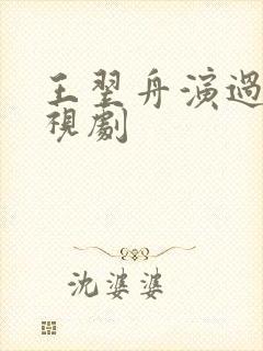 王翌舟演过的电视剧