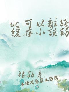 uc 可以离线缓存小说的软件