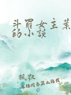 斗罗女主叶泠泠的小说
