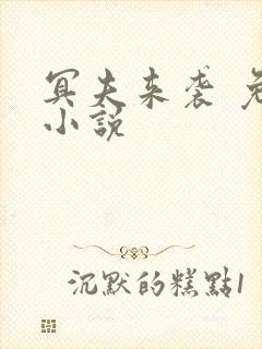 冥夫来袭 免费小说