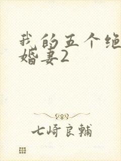 我的五个绝色未婚妻2