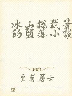 冰山总裁萧沁雪的堕落小说