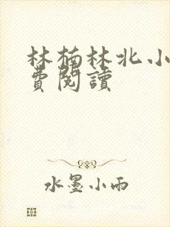 林楠林北小说免费阅读