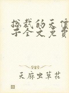 总裁的天价小妻子全文免费阅读天