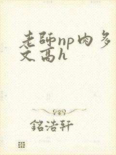 老师np肉多荤文高h