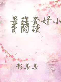 最强贵婿小说免费阅读