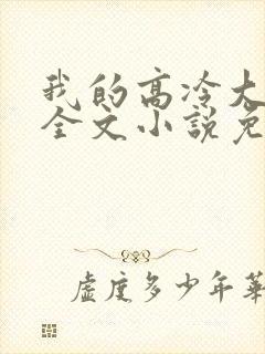 我的高冷大小姐全文小说免费阅读