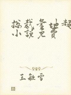 总裁爹地超给力小说免费