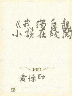 《我独自观测》小说在线阅读