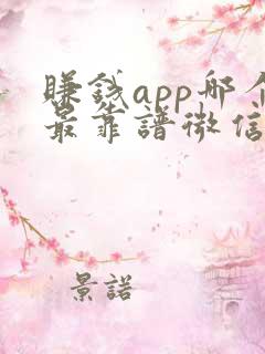 赚钱app哪个最靠谱微信提