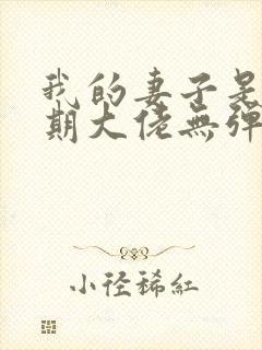 我的妻子是大乘期大佬无弹窗阅读