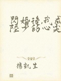 闪婚后,我成了陆少的心尖宠