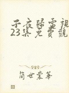 子夜归电视剧第23集免费观看