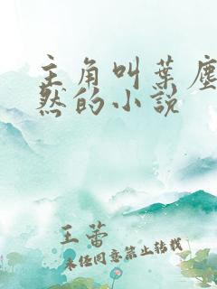 主角叫叶尘纪欣然的小说