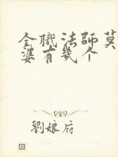 全职法师莫凡老婆有几个
