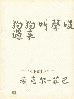 狗狗叫声吸引狗过来