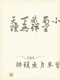 天下藏局小说阅读无弹窗