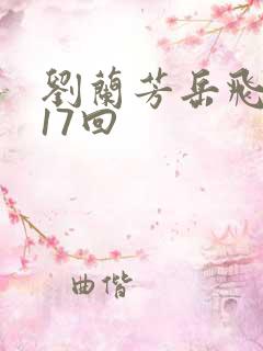 刘兰芳岳飞传117回