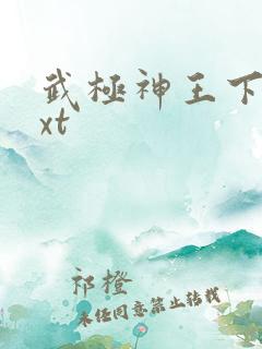武极神王下载txt