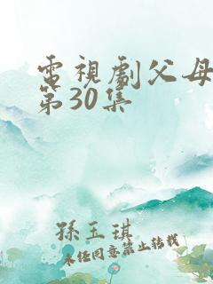 电视剧父母爱情第30集