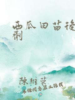 西瓜田苗后除草剂